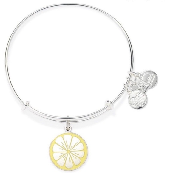 Alex and ani bracelet - Picture 1 of 2